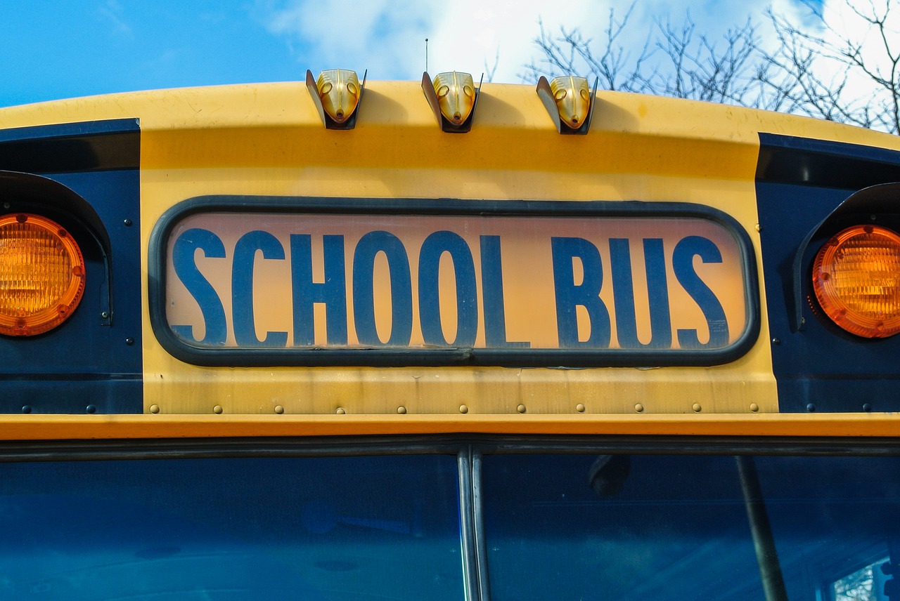 Autobusas, Usa, Mokykla, Spalvos, Transporto Priemonė, Kolektyvas, Autobusai, Valstijos, Jungtinės Valstijos, Transportas