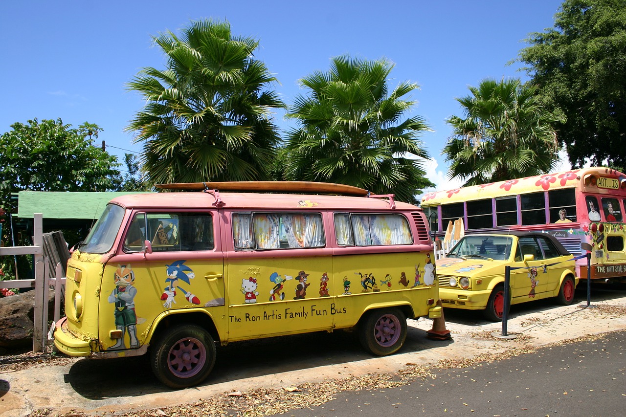 Autobusas, Hawaii, Pop, Menas, Dažytos, Vw, Volkswagen, Nemokamos Nuotraukos,  Nemokama Licenzija
