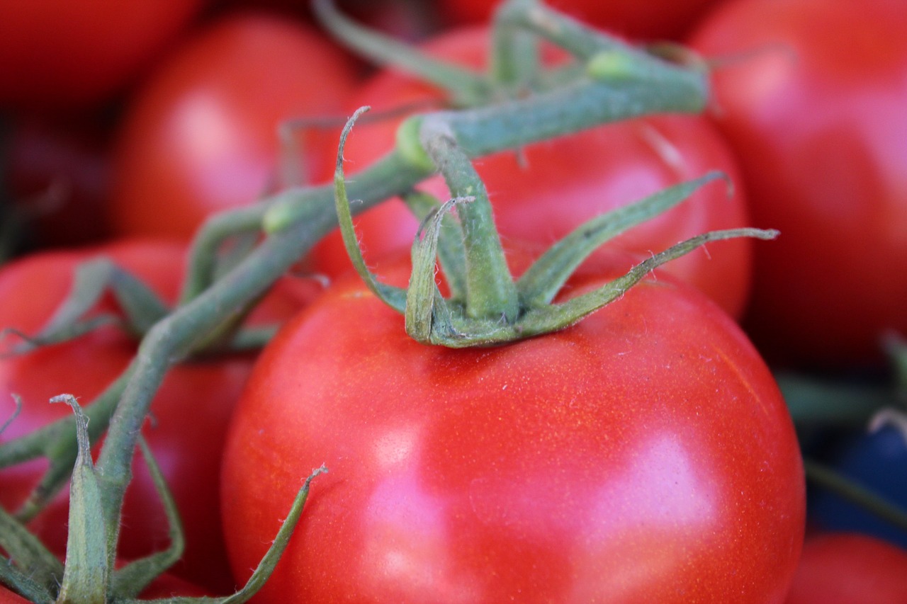 Krūmo Pomidoras, Pomidoras, Raudona, Daržovės, Uždaryti, Maistas, Frisch, Sveikas, Vitaminai, Nemokamos Nuotraukos