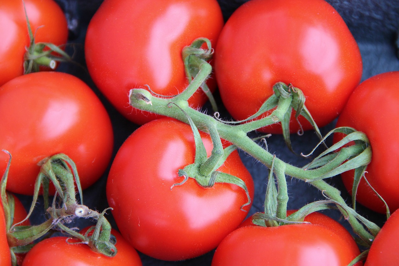 Krūmų Pomidorai,  Santvaros,  Pomidorai,  Daržovės,  Maistas,  Raudona,  Sveikas,  Tomatenrispe,  Panicle,  Vitaminai