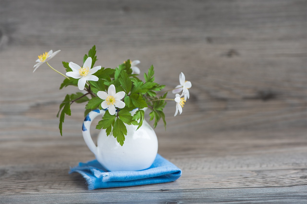 Krūmas-Windröschen, Ranunculaceae, Anemone Nemorosa, Pavasario Gėlė, Ankstyvas Bloomer, Gėlės, Balta, Vazos, Uždaryti, Nemokamos Nuotraukos