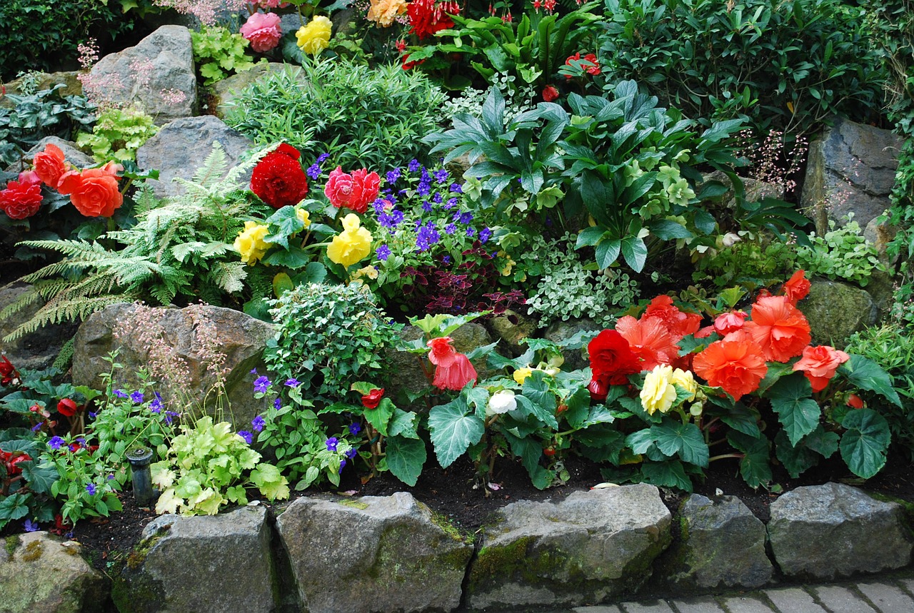 Butchart, Sodas, Viktorija, Augalai, Gamta, Flora, Natūralus, Žydėti, Botanikos, Gėlių