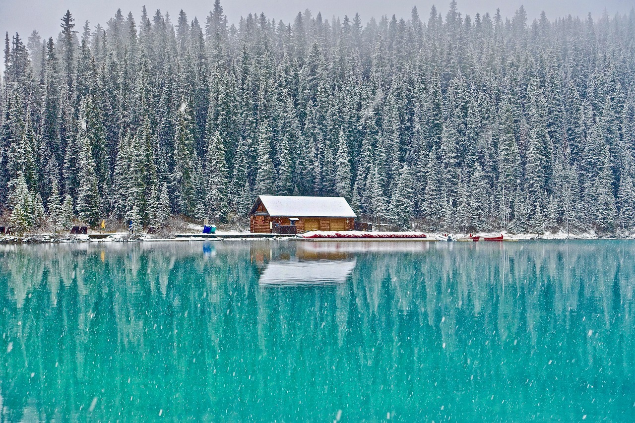 Kajutė, Ežero Louise, Kanada, Miškas, Lauke, Vaizdingas, Dykuma, Atspindys, Peizažas, Nemokamos Nuotraukos