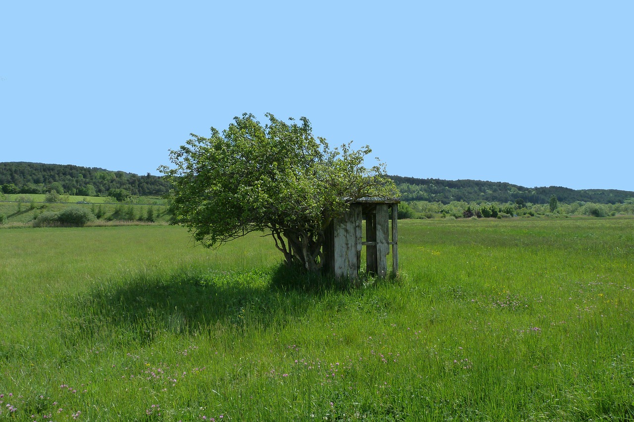 Kajutė, Paliktas, Kraštovaizdis, Laukai, Medžiai, Vėjas, Gamta, Dangus, Pavasaris, Atsparus