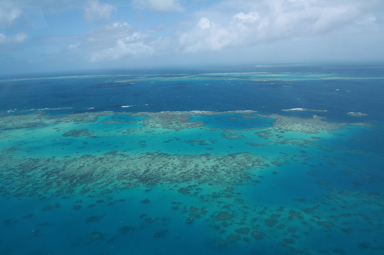 Cairns, Atrakcionai, Rifai, Jūra, Gamta, Horizontas, Nemokamos Nuotraukos,  Nemokama Licenzija