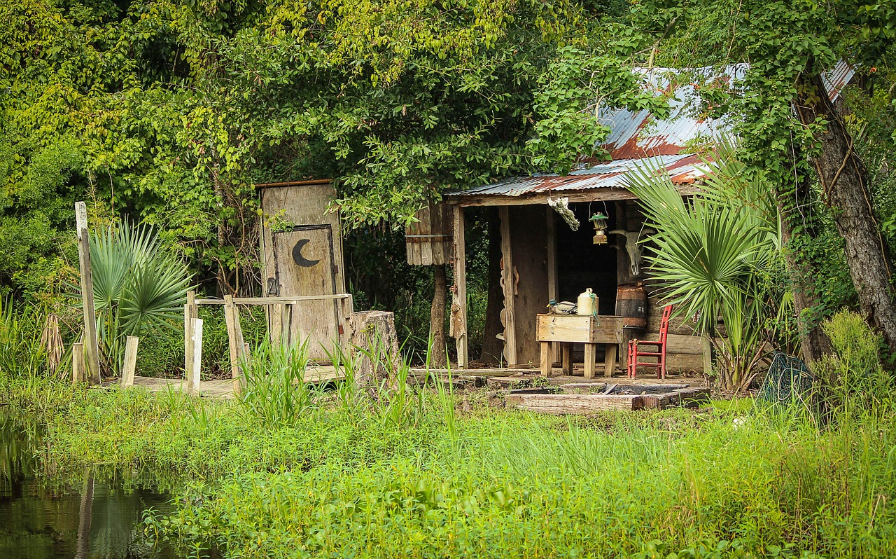 Cajun Salone, Cajun Kultūra, Bayou, Bayou Kabina, Luiziana, Pelkė, Pelkės, Pelkė, Naujasis Orleanas, Kaimiškas