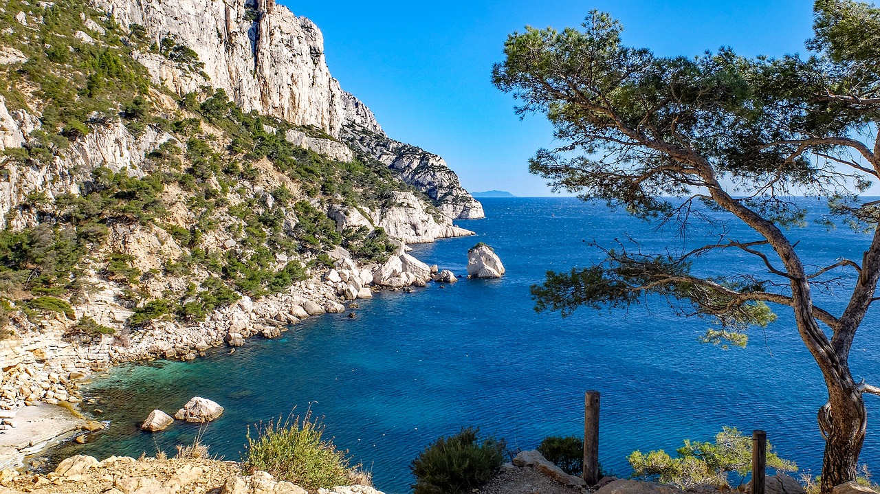 Kalanque, Marseille, Jūra, Viduržemio Jūros, Kranto, Pušis, France, Kraštovaizdis, Nemokamos Nuotraukos,  Nemokama Licenzija