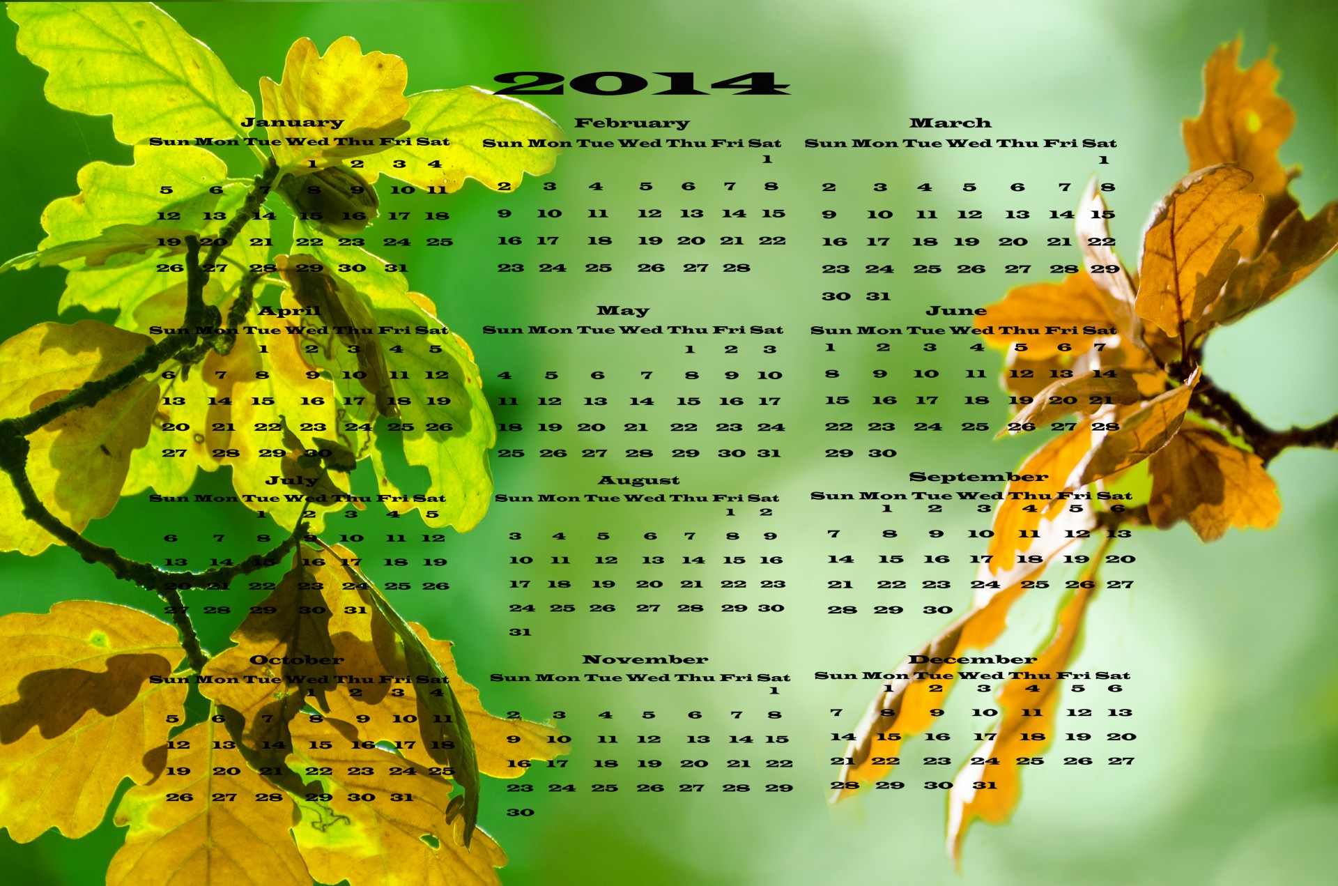 2014,  Ruduo,  Kalendorius,  Vektorius,  Naujas,  Data,  Stalas,  Liepa,  Pavasaris,  Kovas