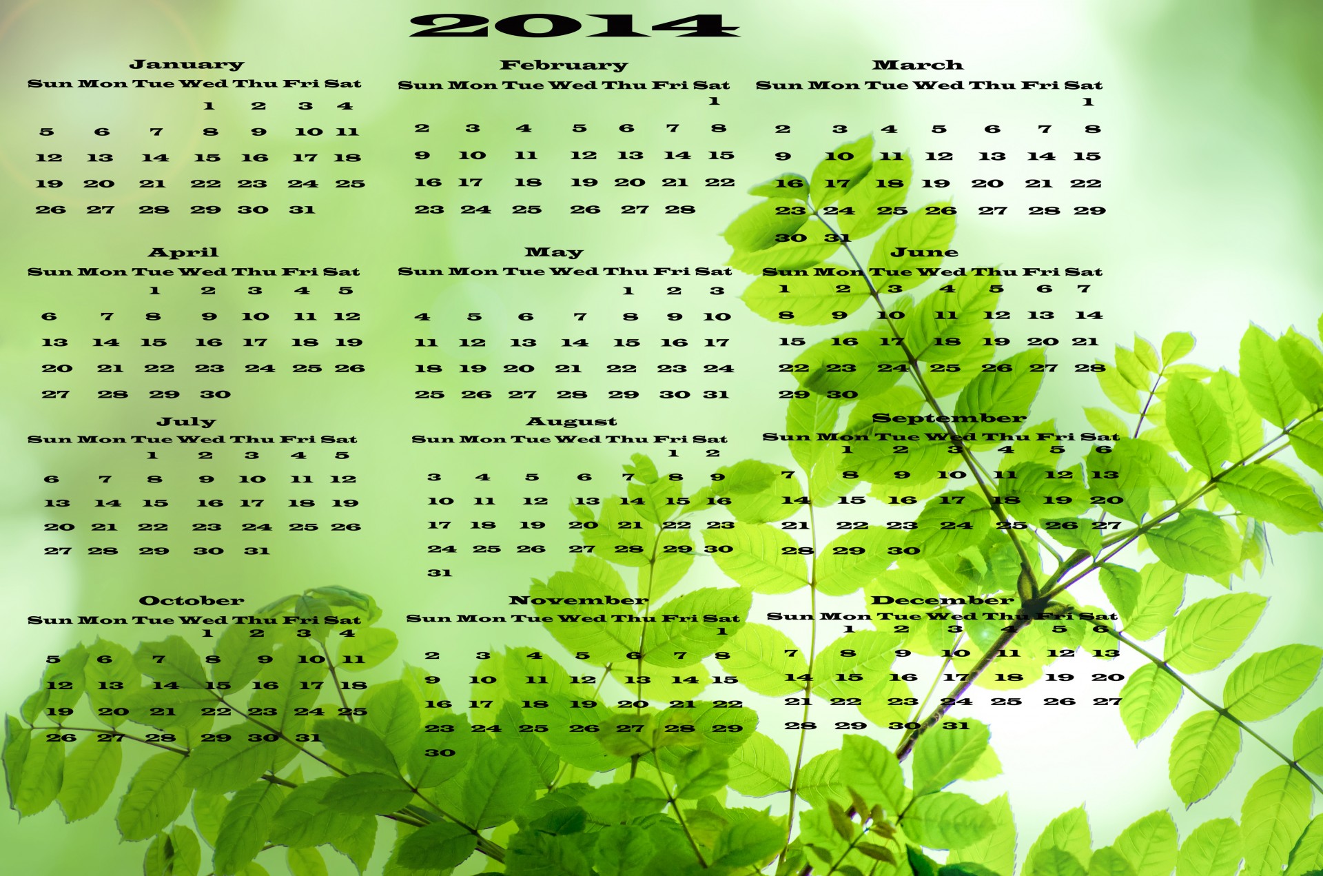 2014,  Lapai,  Lapai,  Žalias,  Kalendorius,  Vektorius,  Naujas,  Data,  Stalas,  Liepa