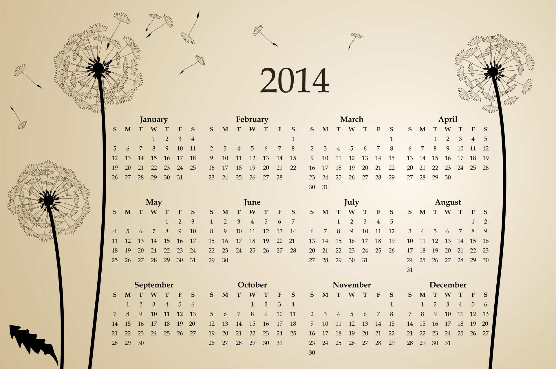 Kalendorius & Nbsp,  2014,  2014,  Kalendorius,  2014 & Nbsp,  Kalendorius,  Kalendorius,  Gėlė,  Gėlės,  Balta