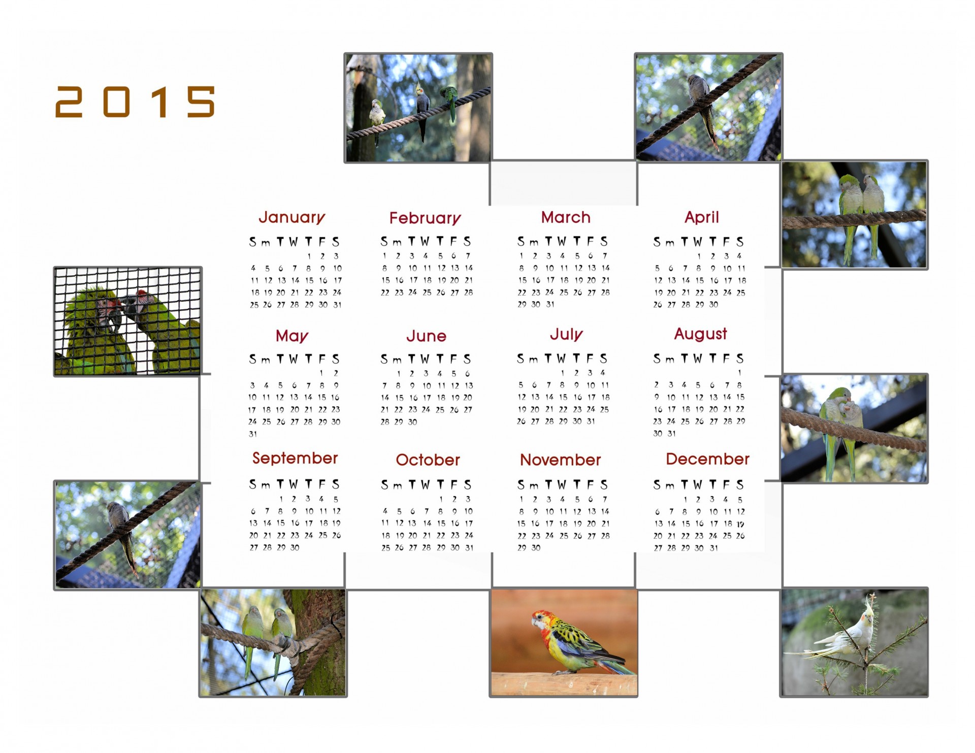 Kalendorius & Nbsp,  2015,  Kalendorius,  Planuotojas,  Apdaila,  Metai,  Mėnuo,  Mėnesių,  Duomenys,  Paukščiai