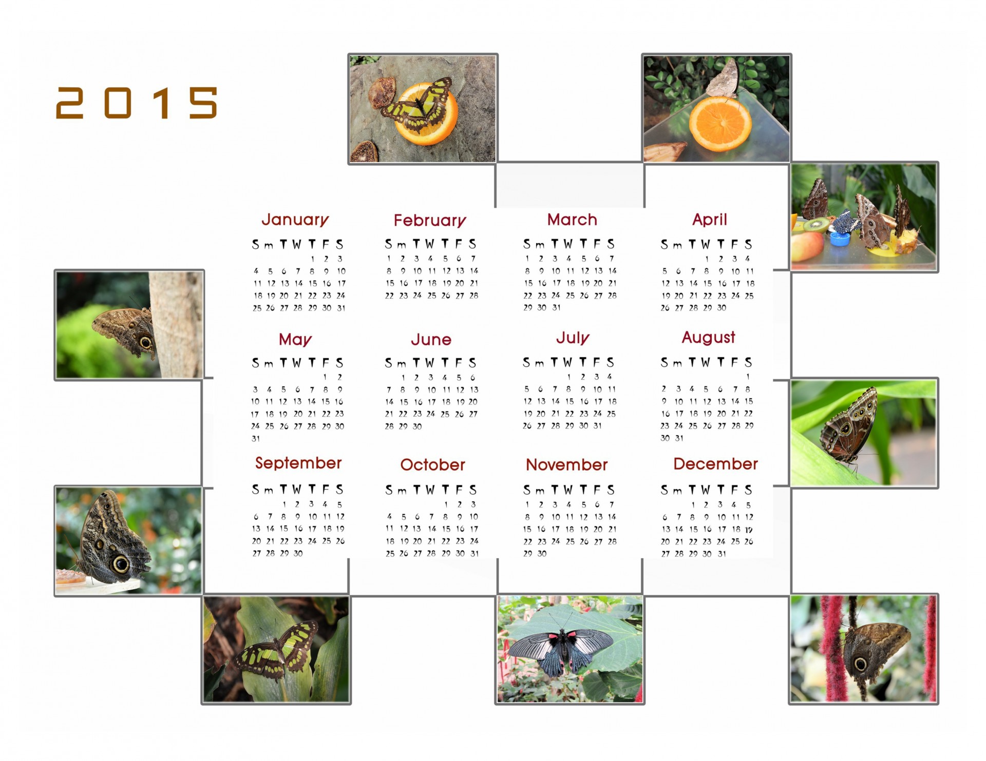 Kalendorius & Nbsp,  2015,  Kalendorius,  Planuotojas,  Apdaila,  Metai,  Mėnuo,  Mėnesių,  Duomenys,  Drugelis
