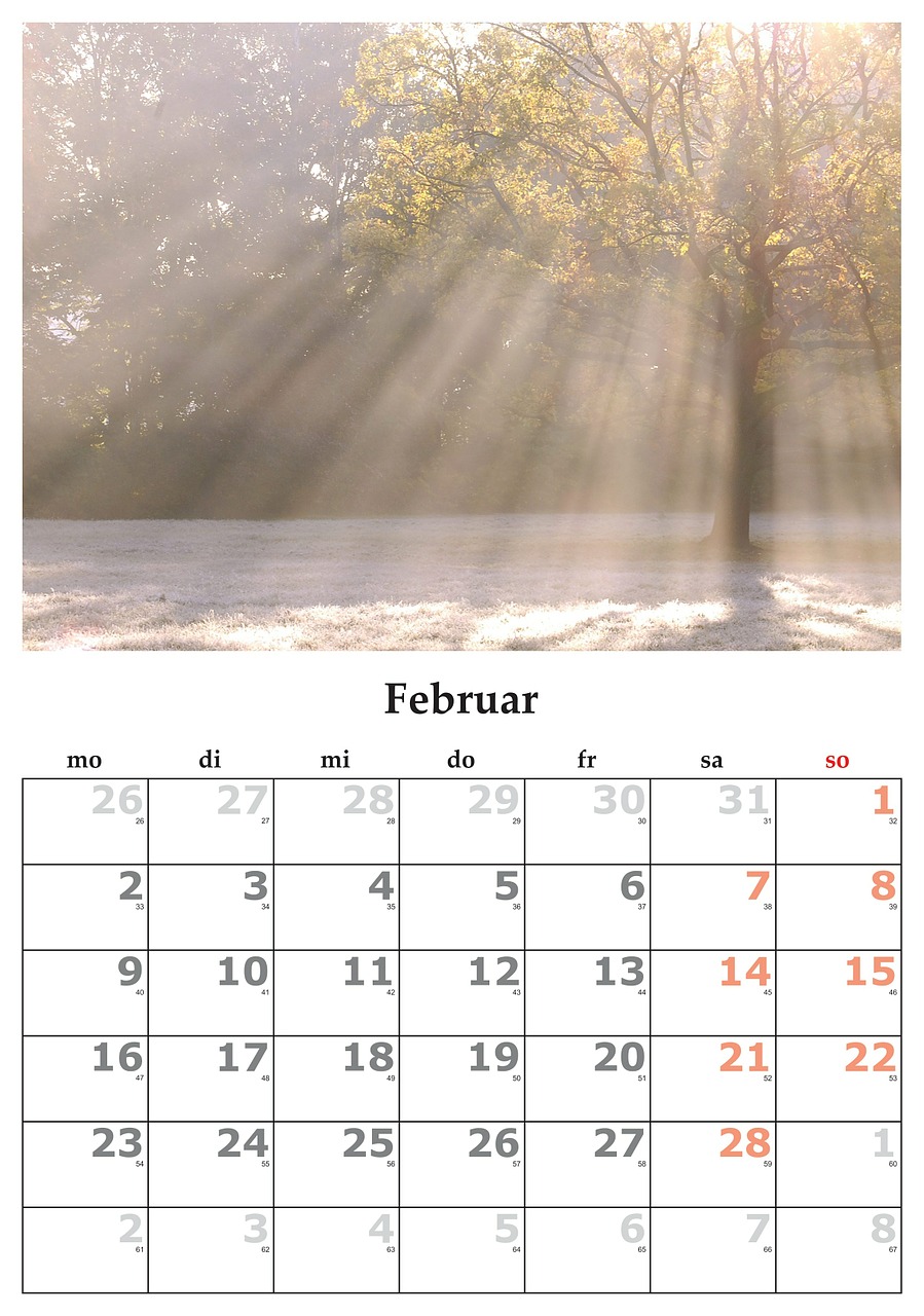 Kalendorius, Mėnuo, Vasaris, Vasaris 2015, Nemokamos Nuotraukos,  Nemokama Licenzija