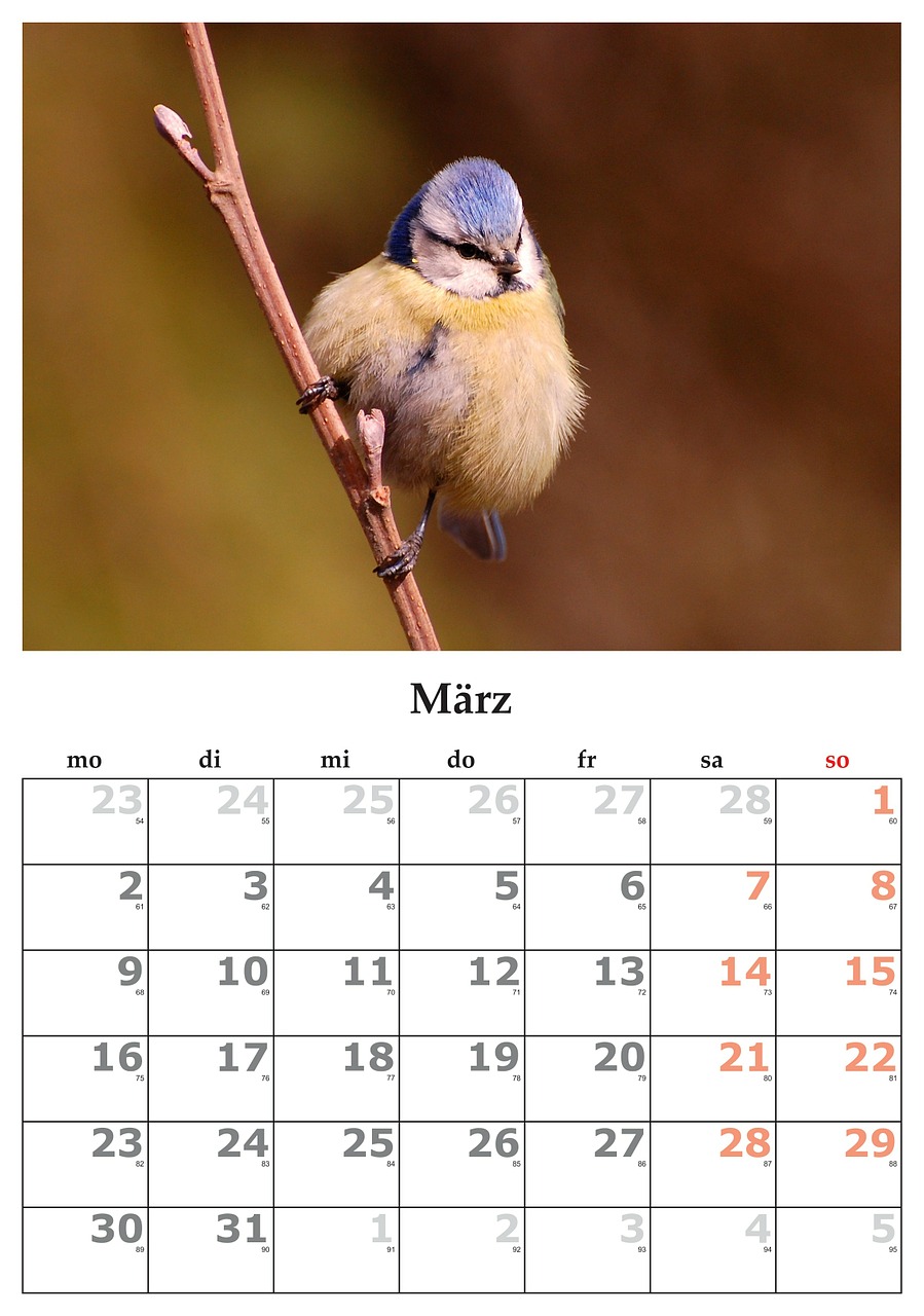 Kalendorius, Mėnuo, Kovas, 2015 M. Kovo Mėn ., Nemokamos Nuotraukos,  Nemokama Licenzija