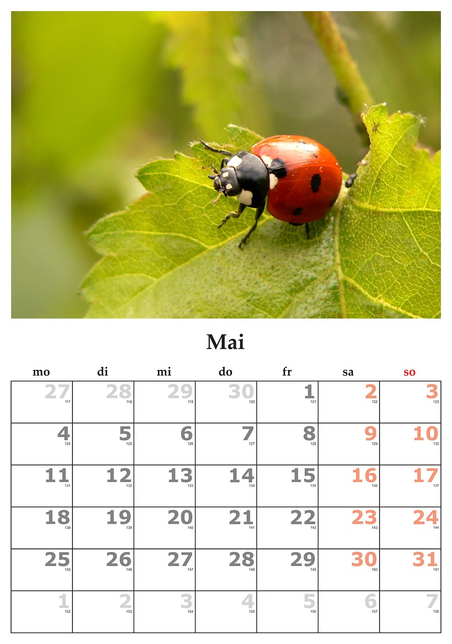 Kalendorius, Mėnuo, Gegužė, 2015 M. , Nemokamos Nuotraukos,  Nemokama Licenzija