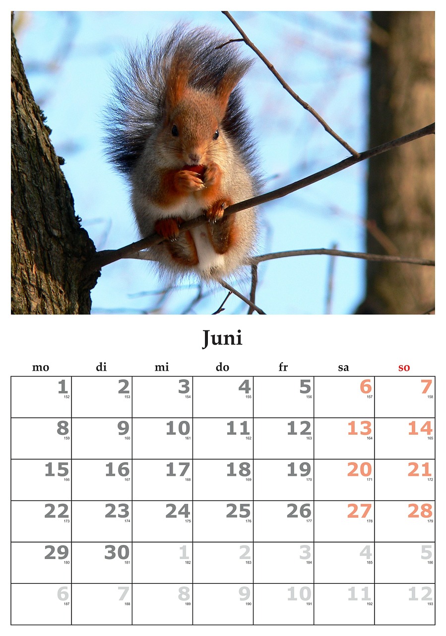 Kalendorius, Mėnuo, Birželis, 2015 M. Birželio Mėn ., Nemokamos Nuotraukos,  Nemokama Licenzija