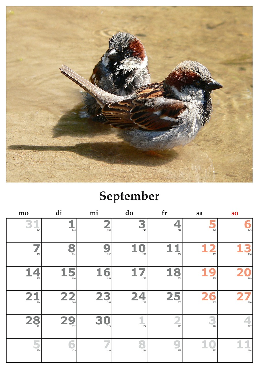 Kalendorius, Mėnuo, September, 2015 M. Rugsėjo Mėn ., Nemokamos Nuotraukos,  Nemokama Licenzija