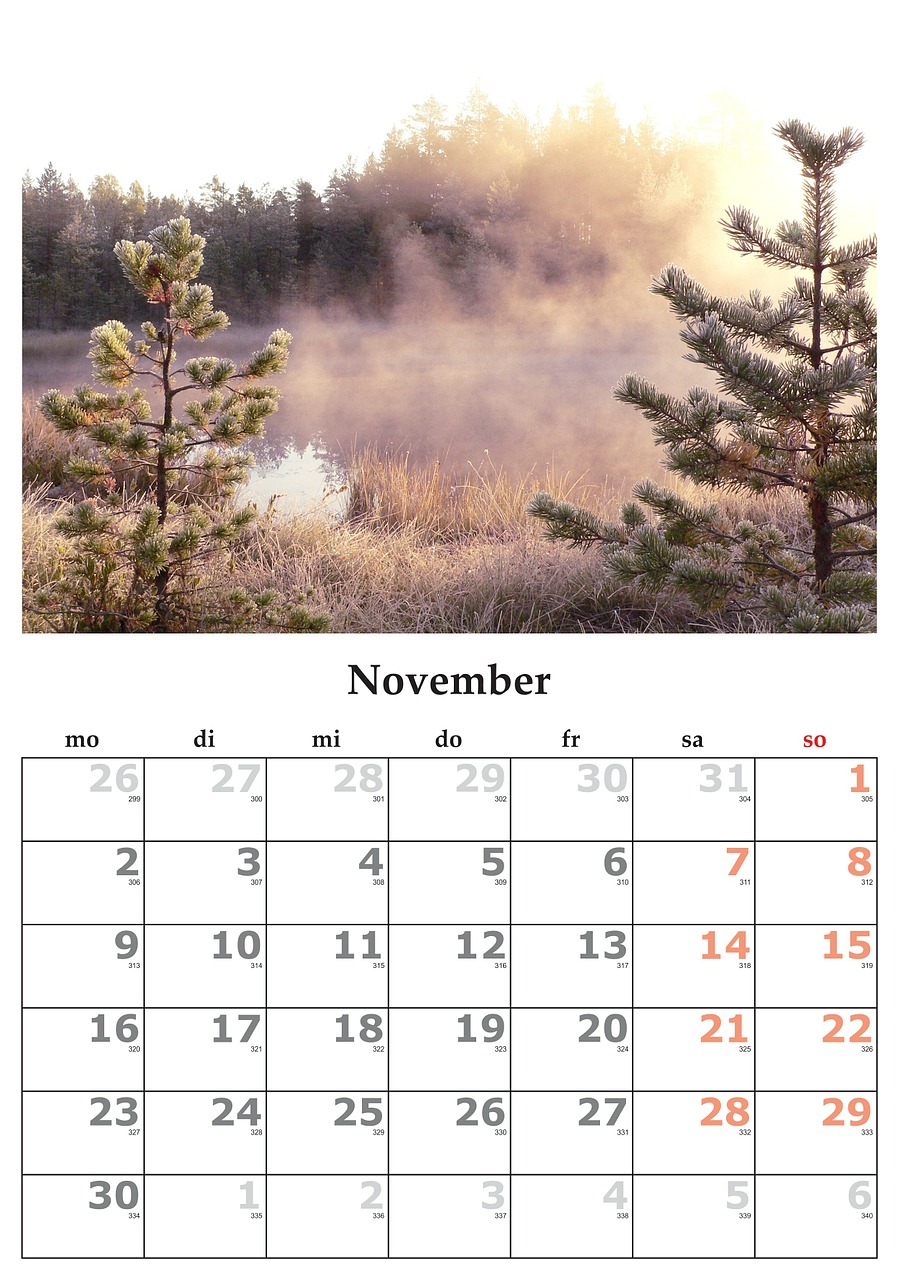 Kalendorius, Mėnuo, Lapkritis, 2015 M. Lapkričio Mėn ., Nemokamos Nuotraukos,  Nemokama Licenzija