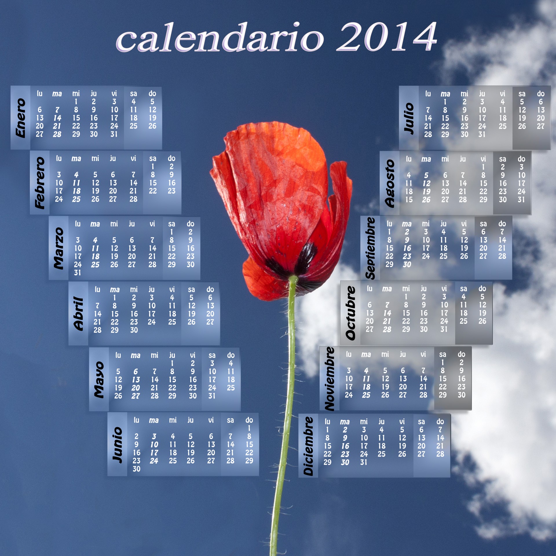 Kalendorius,  2014,  Aguona,  Raudona,  Mėlynas,  Spalva,  Dangus,  Gamta,  Debesys,  Gėlė