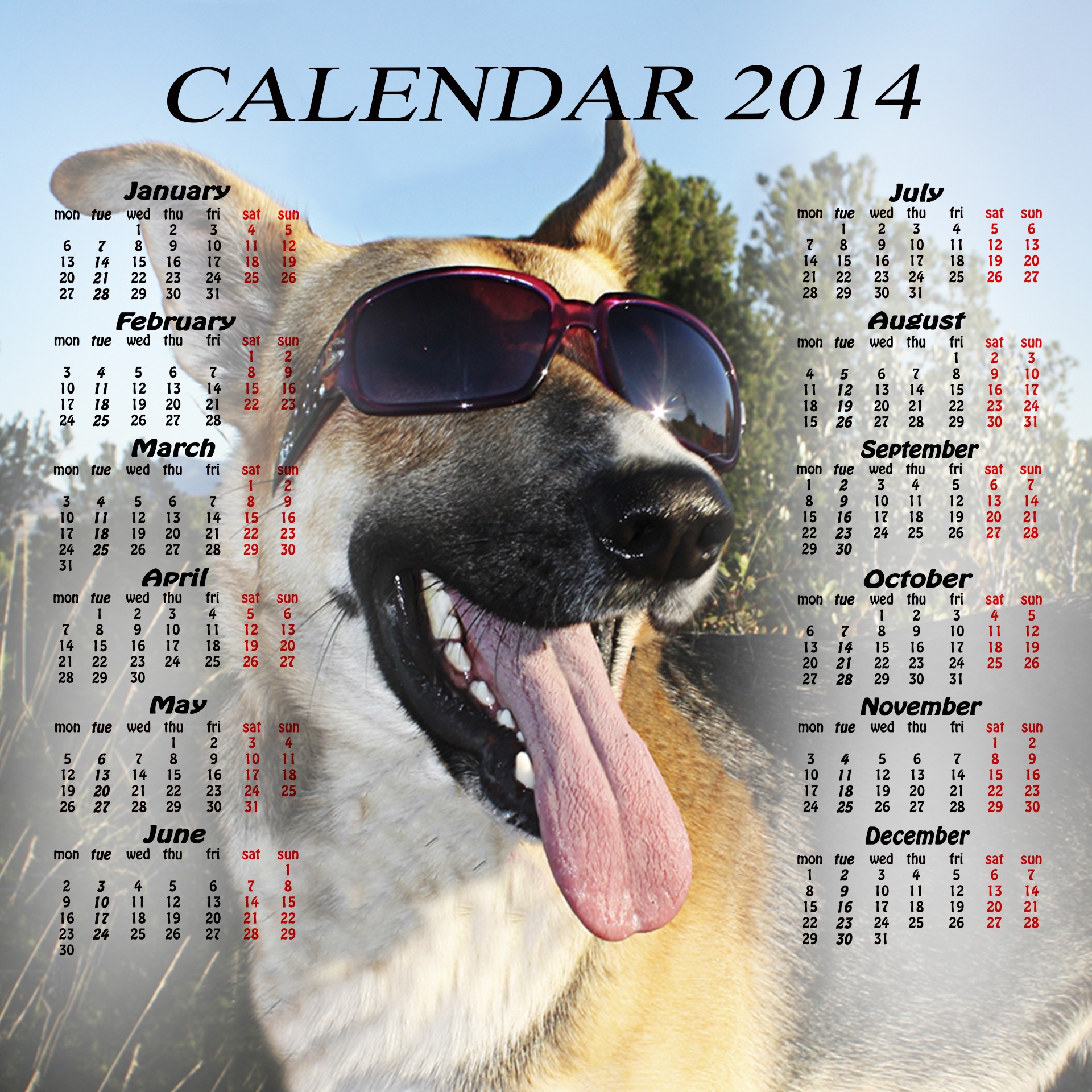 Kalendorius & Nbsp,  2014,  Kalendorius,  2014,  Šuo,  Šunys,  Augintiniai,  Naminis Gyvūnėlis,  Liežuvis,  Akis