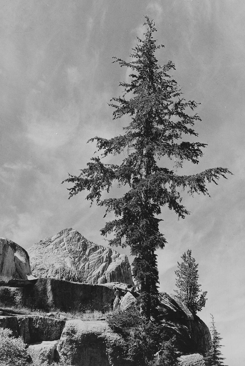 Kalifornija, 1930-Tieji Metai, Juoda Ir Balta, Dangus, Debesys, Gamta, Lauke, Medis, Kalnai, Uolos