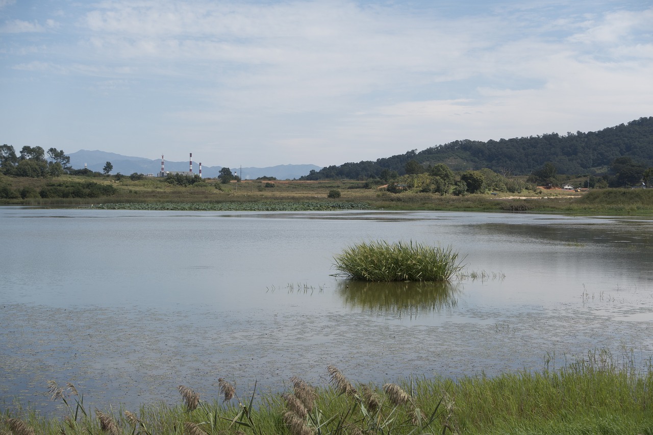 Ramus, Ežeras, Loch, Pelkės, Gamtos Rezervatas, Paprastas, Rezervuaras, Upė, Dangus, Vanduo