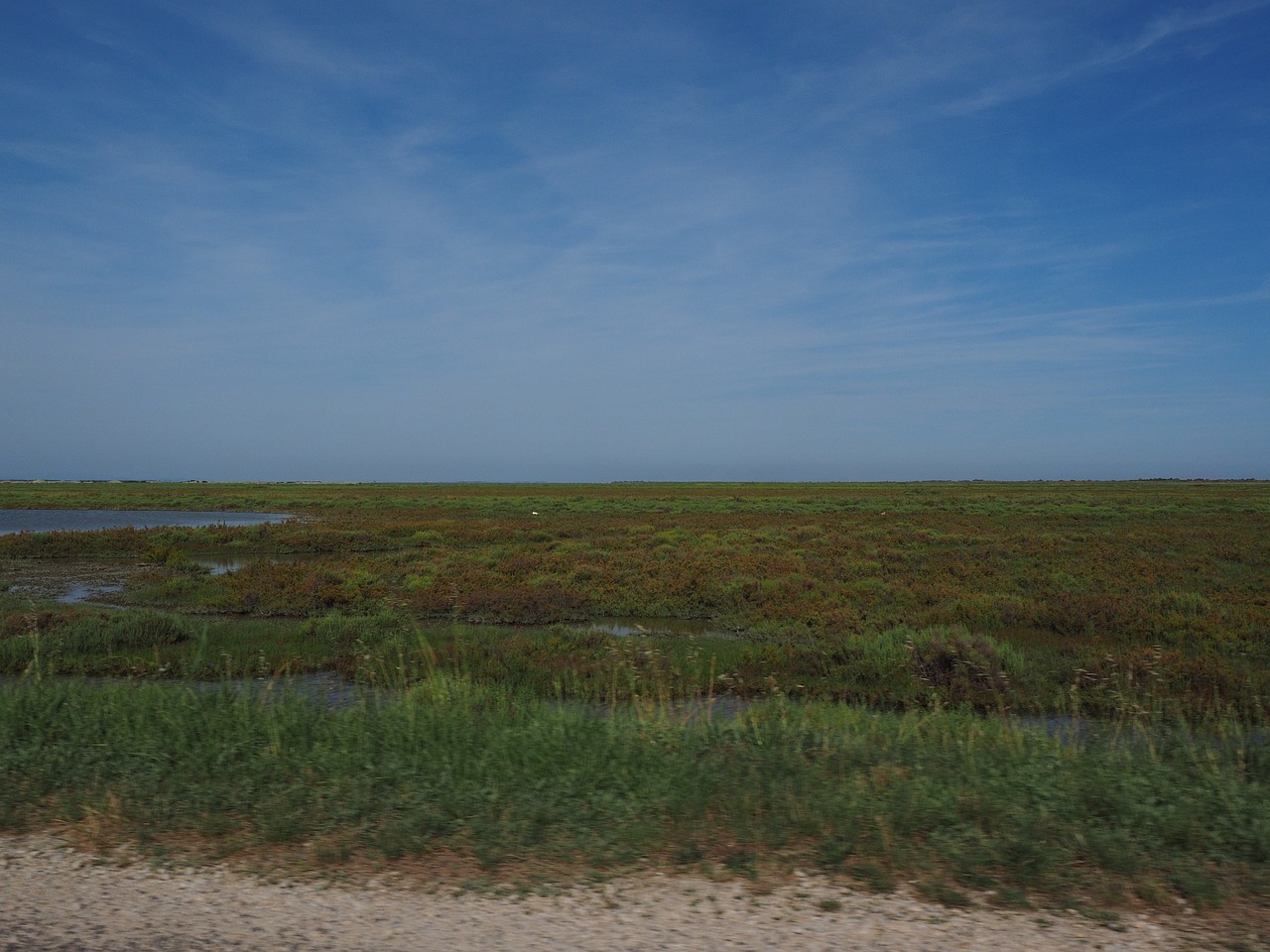 Camargue, Gamtos Parkas Camargue, Ežerų, Pelkės, Sūraus Vandens-Lagūnos, Marių, Sūrus, Burnas Du Rhone, Provanso Alpės-Žydrasis Krantas Prancūzija, Nemokamos Nuotraukos