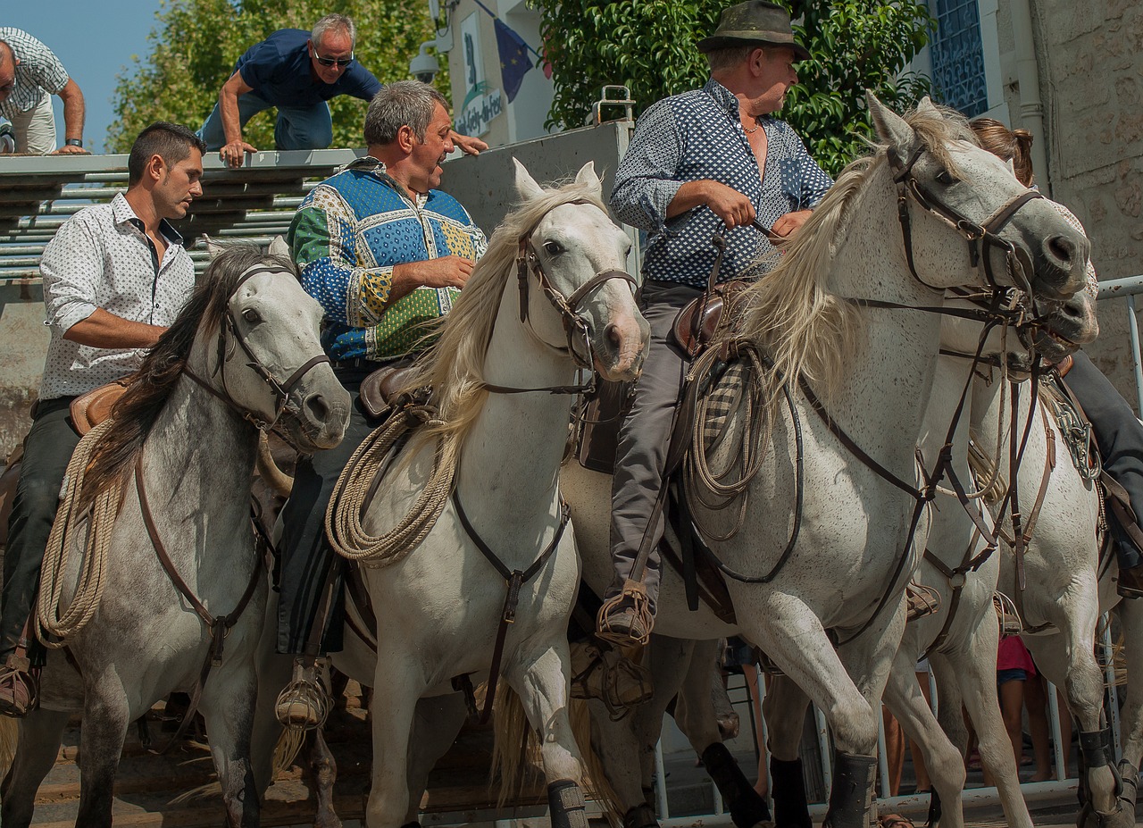 Camargue, Gardininkai, Arkliai, Vairuotojai, Feria, Nemokamos Nuotraukos,  Nemokama Licenzija