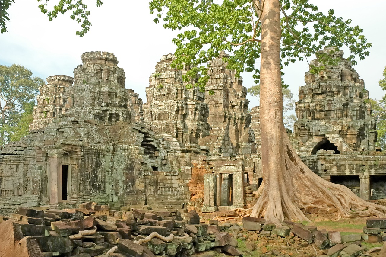 Kambodža, Šventykla, Angkor Wat, Šaknys, Asija, Nemokamos Nuotraukos,  Nemokama Licenzija