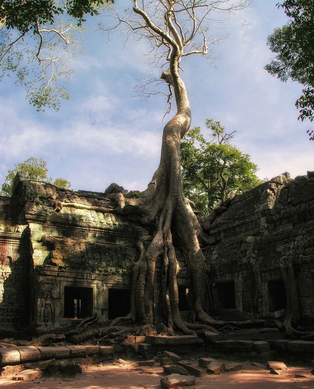 Kambodža, Prohm, Ta Prohm, Šventykla, Angkor, Angkor Wat, Medis, Džiunglės, Asija, Šventyklos Kompleksas