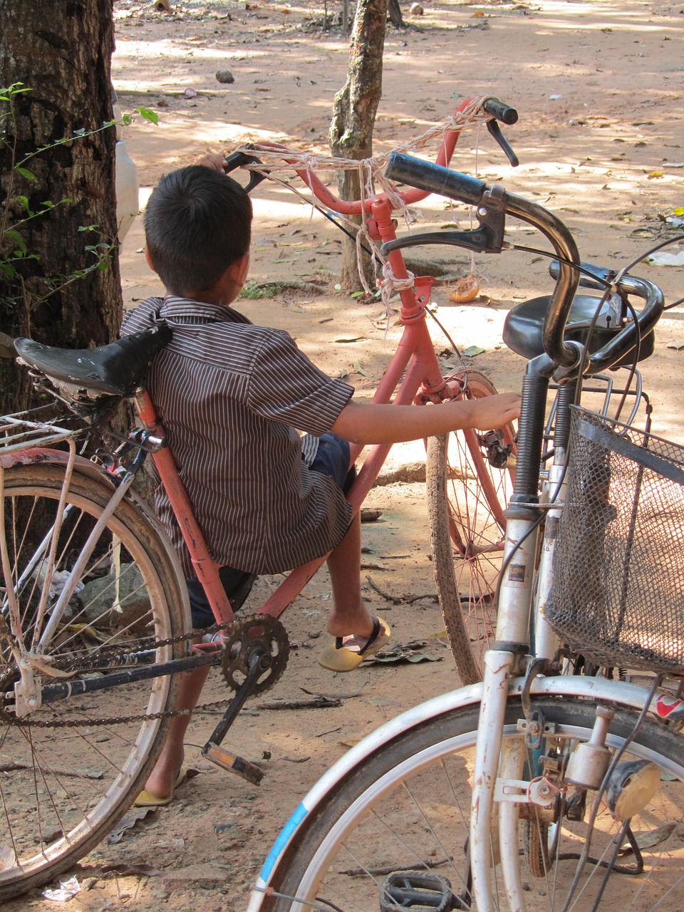 Kambodža, Vaikas, Dviratis, Nemokamos Nuotraukos,  Nemokama Licenzija
