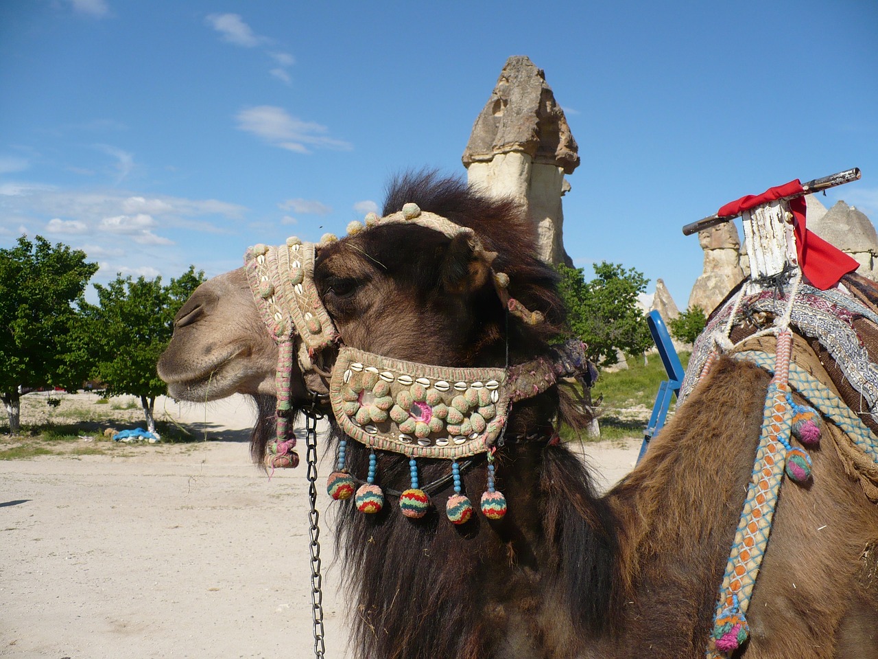 Kupranugaris, Turkija, Cappadocia, Rytus, Nemokamos Nuotraukos,  Nemokama Licenzija