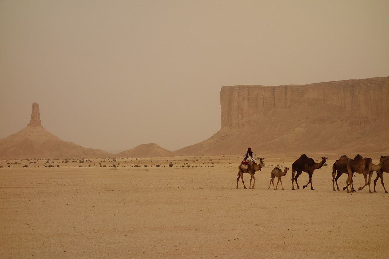 Camel Traukinys,  Saudo Arabija,  Ramadanas,  Ramadanas, Nemokamos Nuotraukos,  Nemokama Licenzija