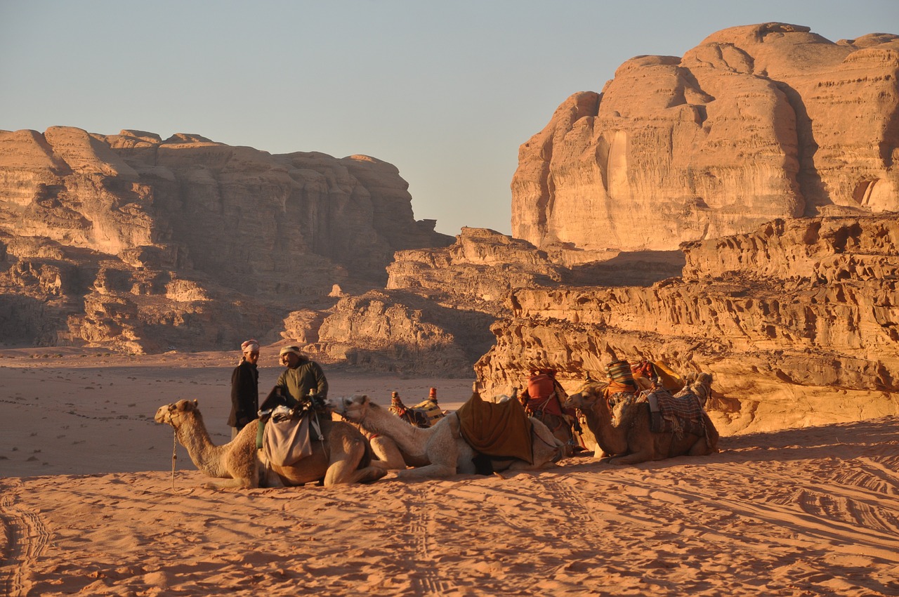 Kupranugariai, Beduinai, Wadi Rum, Jordan, Nemokamos Nuotraukos,  Nemokama Licenzija