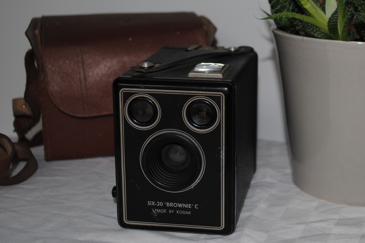 Fotoaparatas, Blusų Rinka, Buvęs, Fotografija, Nuotrauka, Kodak, Senas, Vintage, Juoda, Pannier