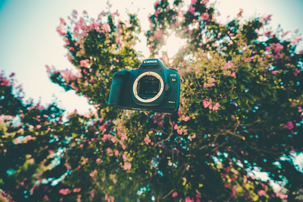 Fotoaparatas, Kanonas, Plaukiojantieji, Flora, Gėlės, Medis, Nemokamos Nuotraukos,  Nemokama Licenzija