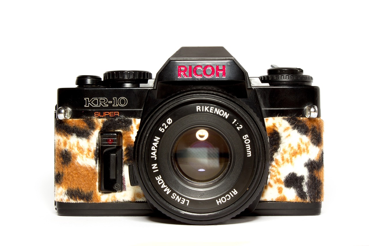 Fotoaparatas, Mada, Hipster, Leopardas, Objektyvas, Stilius, Retro, Šiuolaikiška, Vintage, Hip