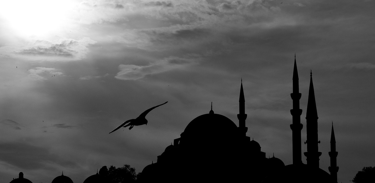 Cami, Minaretas, Paukštis, Kraštovaizdis, Kajakas, Architektūra, Artimieji Rytai, Turkija, Islamas, Minaretai