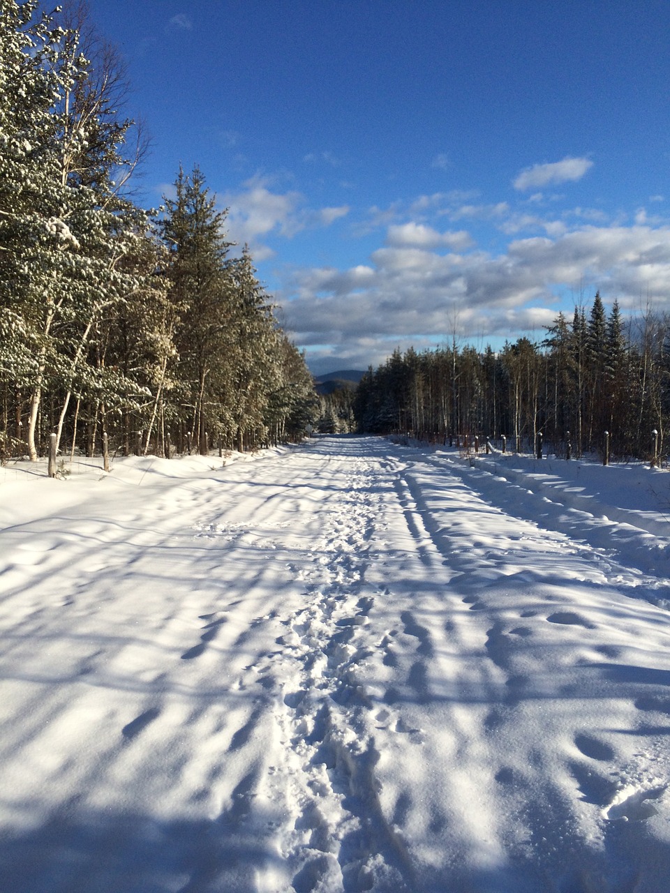 Kanada, Žiema, Quebec, Sniegas, Kelias, Kelias, Miškas, Nemokamos Nuotraukos,  Nemokama Licenzija