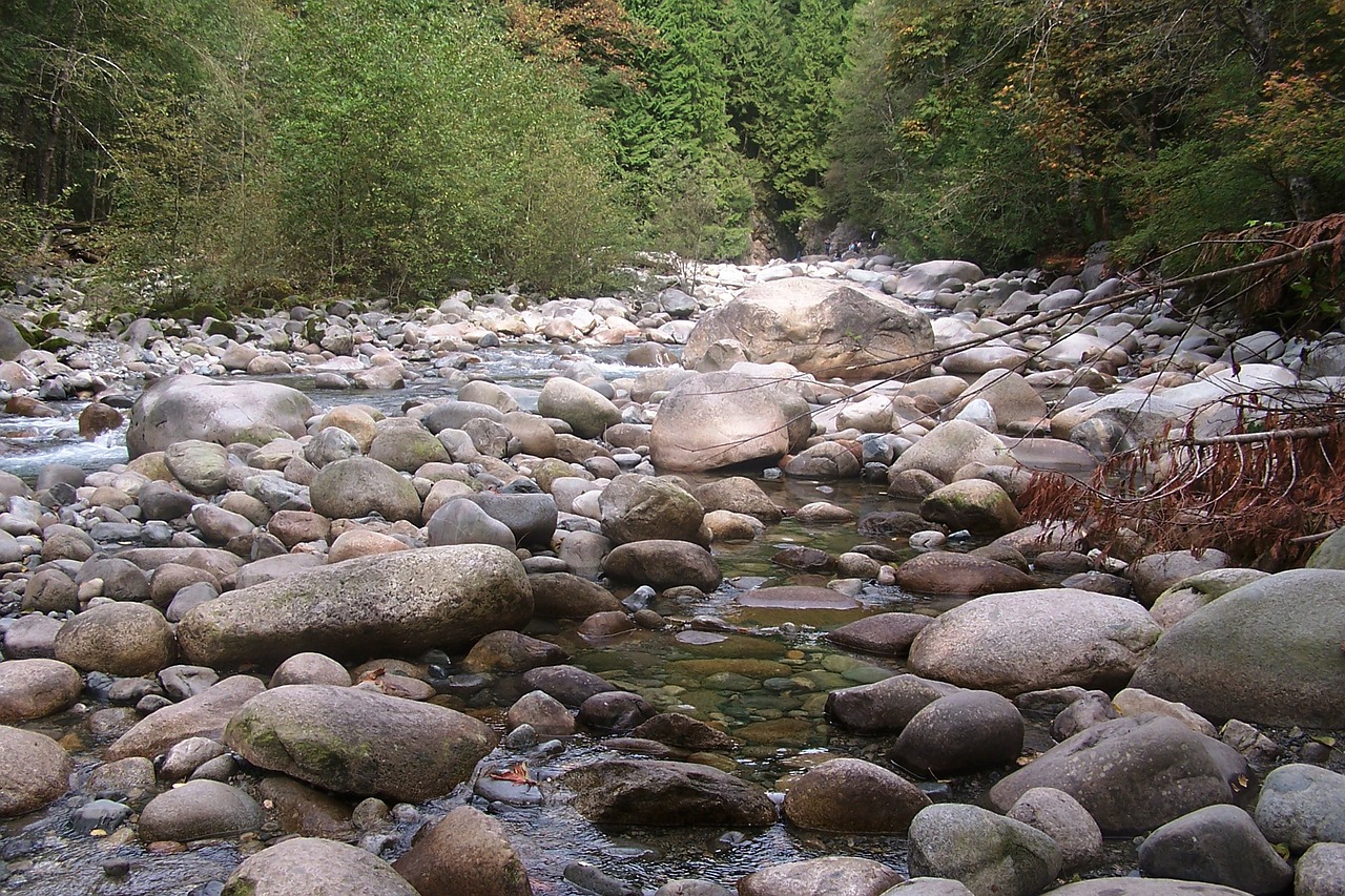 Kanada, Kanjonas, Upė, Akmenys, Vanduo, Kraštovaizdis, Gamta, Peizažas, Vankuveris, Britų Kolumbija