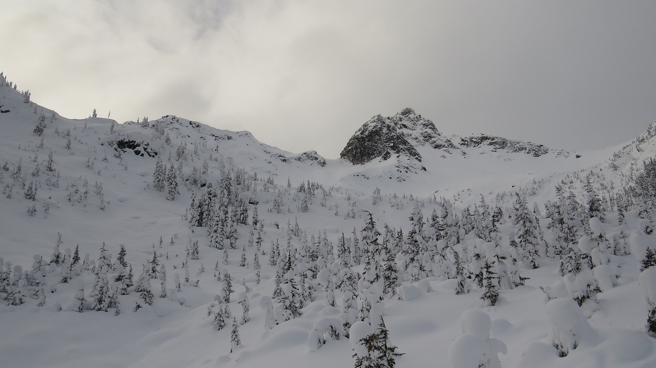 Kanada, Žiema, Gamta, Kraštovaizdis, Heliski, Nemokamos Nuotraukos,  Nemokama Licenzija