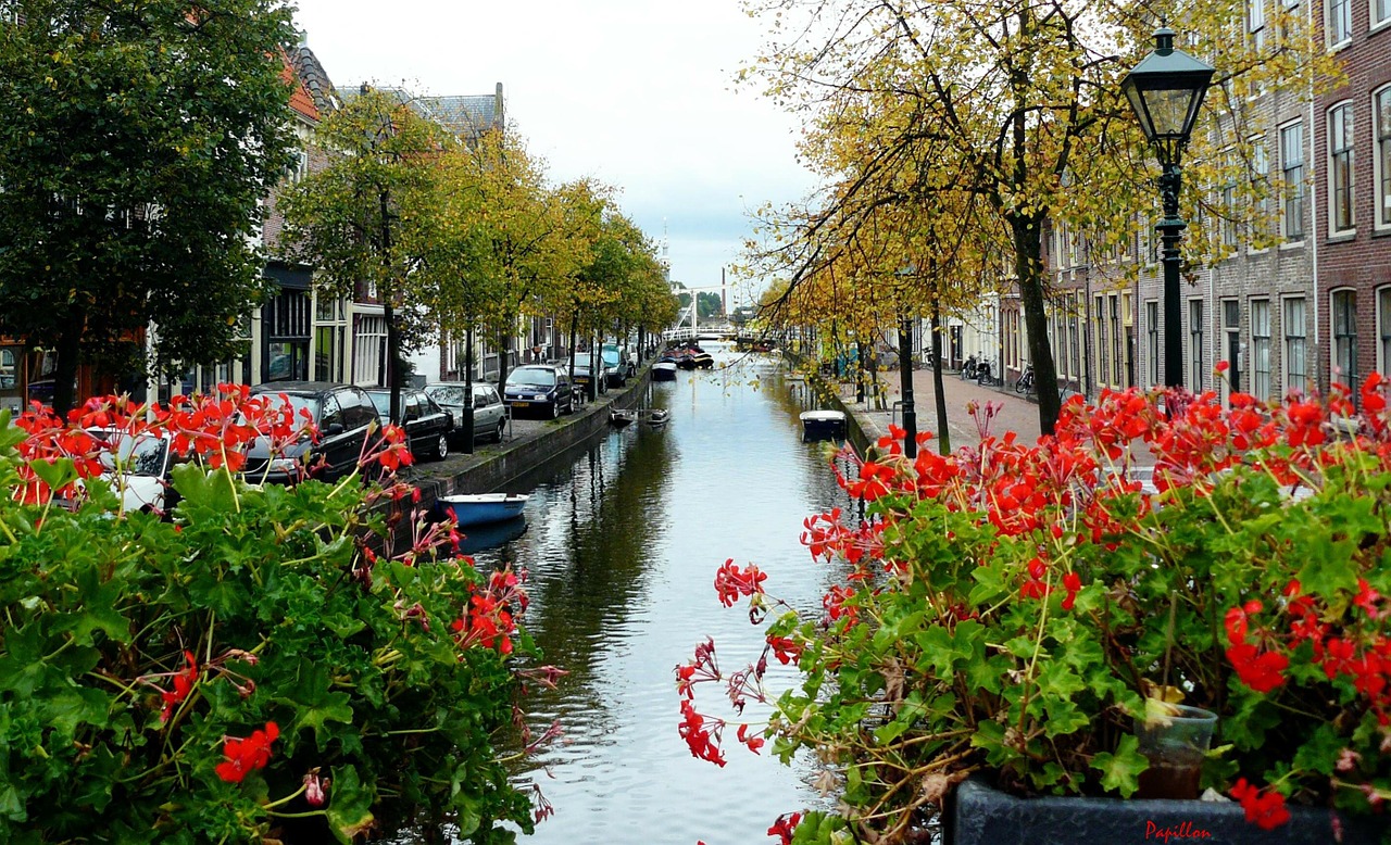 Kanalas, Vanduo, Kanalas, Amsterdamas, Holland, Nyderlandai, Miestas, Alėja, Medis, Medžiai