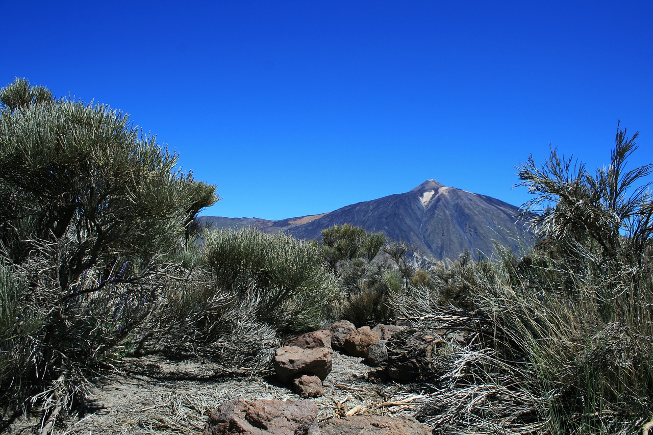 Kanarų Salos, Teide Nacionalinis Parkas, Tenerifė, Ispanija, Teide, Gamta, Kraštovaizdis, Perspektyva, Lavos Laukas, Nemokamos Nuotraukos