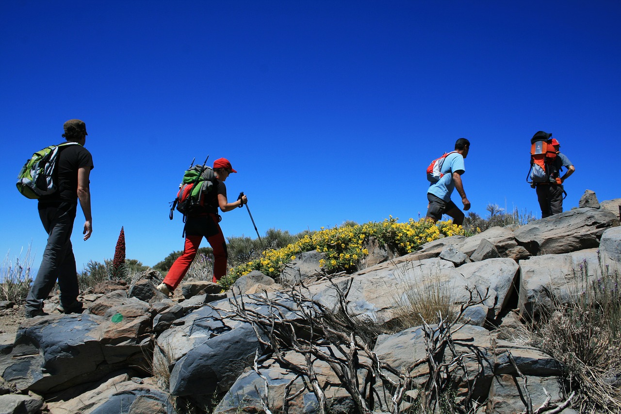 Kanarų Salos, Teide Nacionalinis Parkas, Žygis, Tenerifė, Ispanija, Teide, Gamta, Kraštovaizdis, Perspektyva, Lavos Laukas