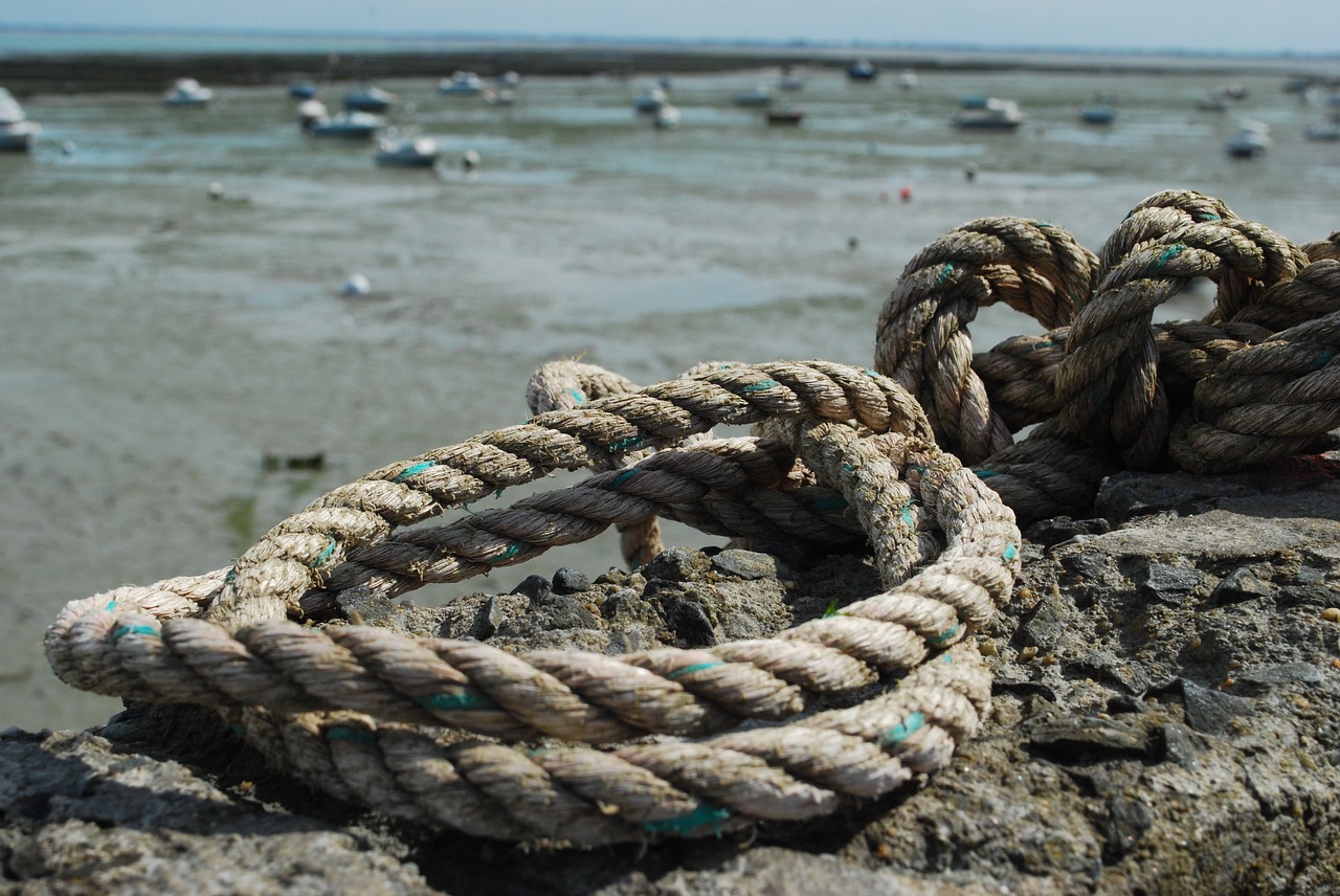 Cancale, Jūra, France, Nemokamos Nuotraukos,  Nemokama Licenzija