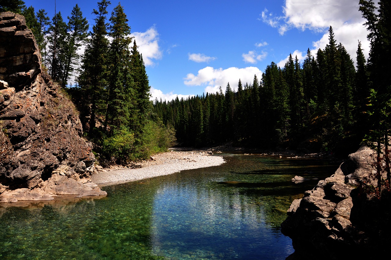 Kanojiškos Pievos, Kananaskis, Kanada, Upė, Amžinai Žaliuojantys Medžiai, Akmenys, Alberta, Mėlynas, Debesys, Aplinka