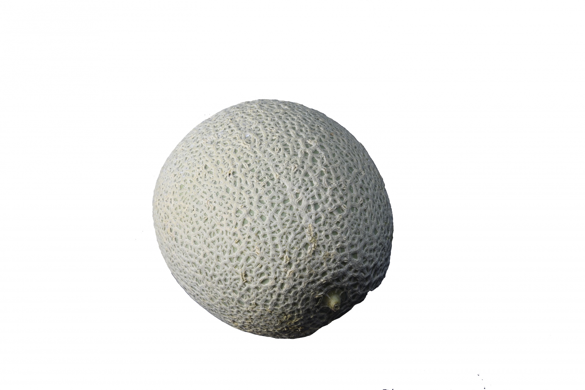 Cantaloupe,  Izoliuotas,  Balta,  Cantaloupe, Nemokamos Nuotraukos,  Nemokama Licenzija