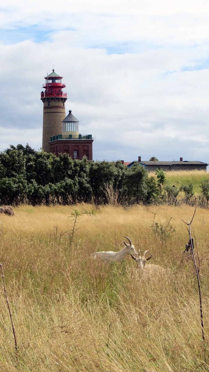 Cape Arkona, Rügen, Uolos, Švyturiai, Įspėjimo Signalas, Jūrų Transportas, Baltijos Jūra, Vaizdas, Stebejimo Denis, Laukai