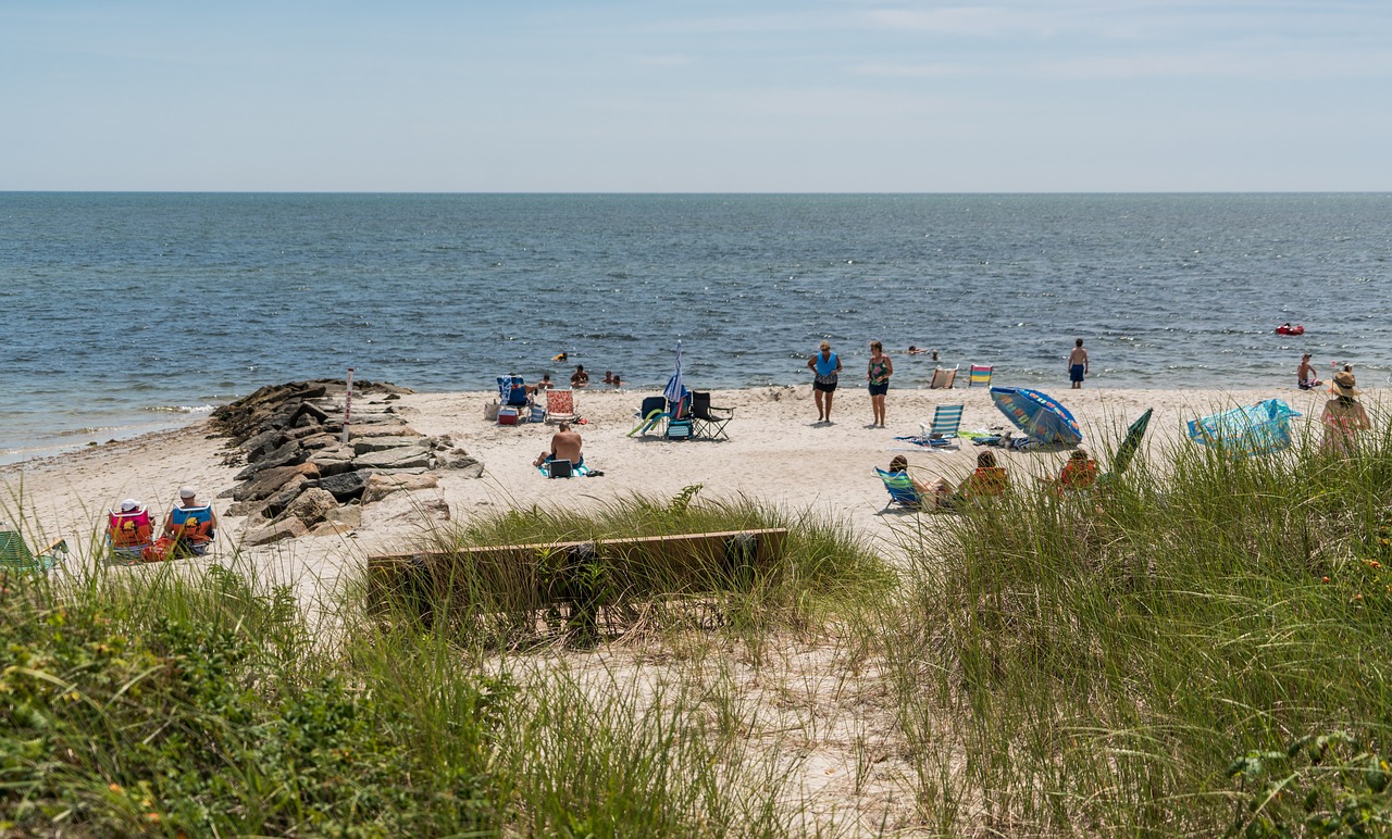 Menkės Menkės, Yarmouth, Massachusetts, Žmonės, Asmuo, Papludimys, Smėlis, Vandenynas, Атлантический, Vanduo