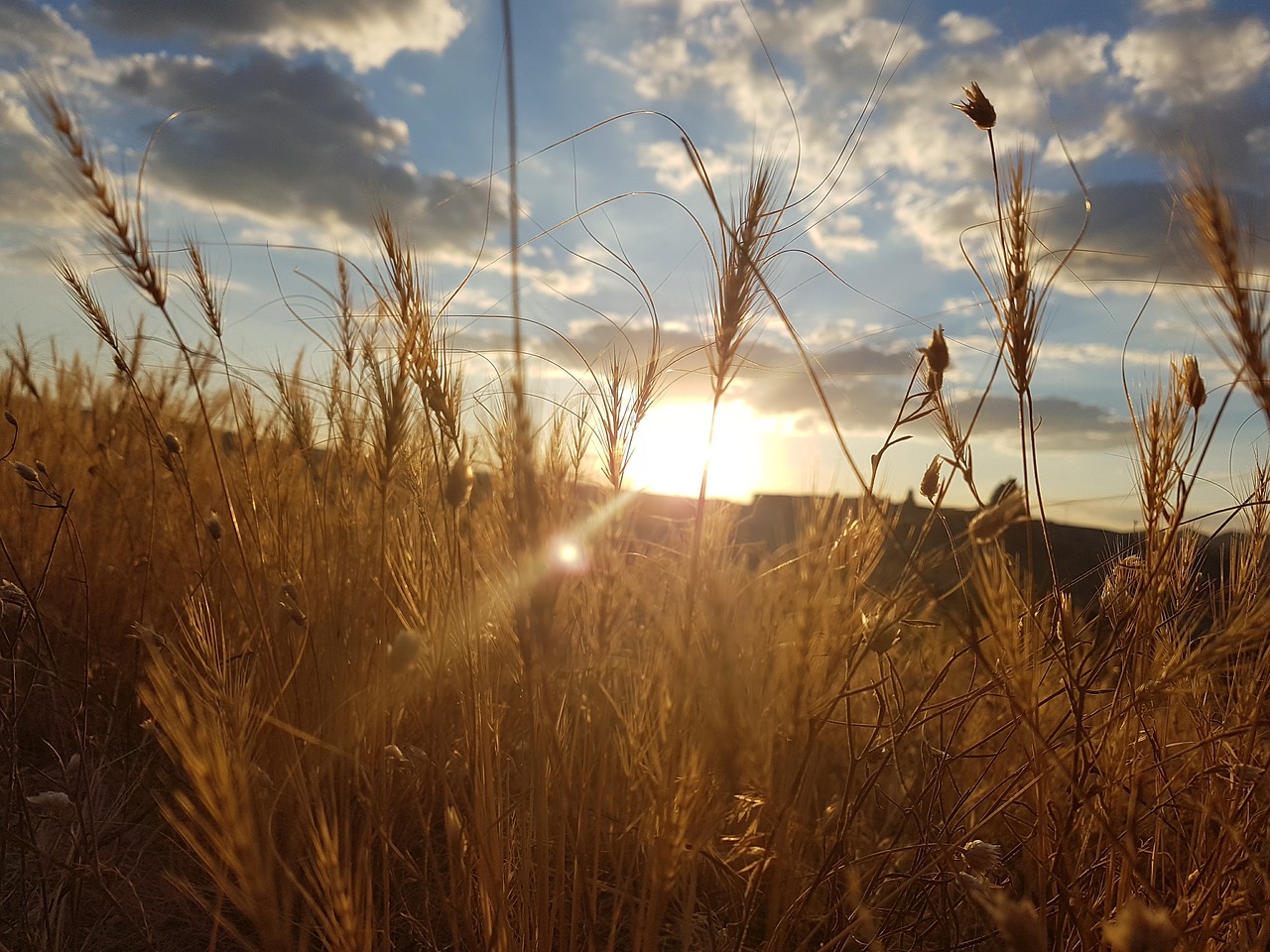 Cappadocia, Kviečių Virgė, Cavusin, Nemokamos Nuotraukos,  Nemokama Licenzija